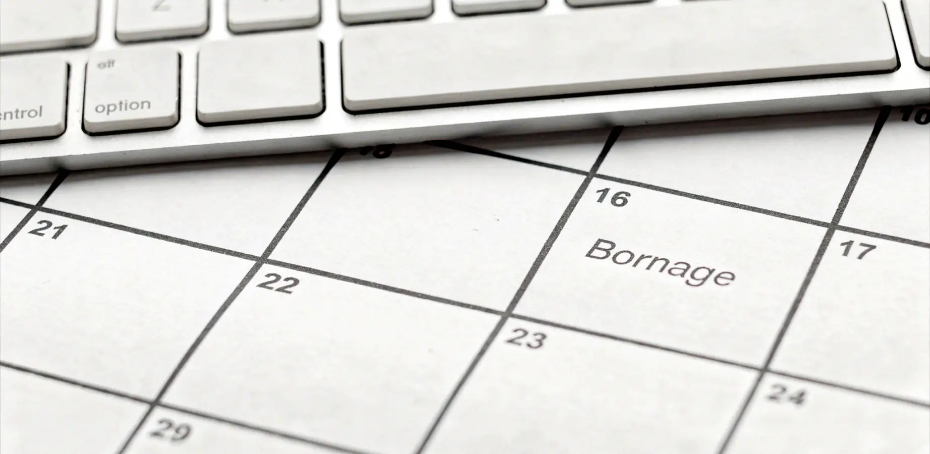 Agenda de bureau ouvert avec plusieurs semaines entourées au crayon, illustrant le délai à prévoir entre le bornage et la vente d'un terrain