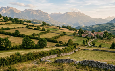 Mon terrain est déjà borné : que faire ? Vérifier, retrouver et rétablir vos limites