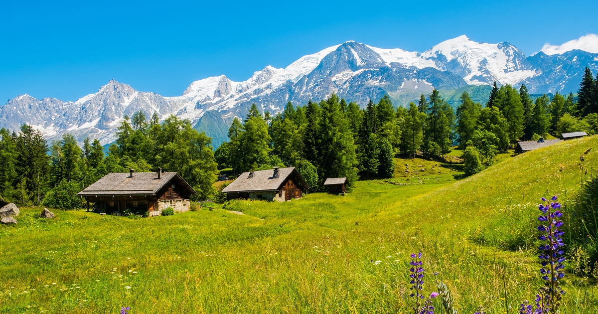 Versant en pente douce avec parcelles herbeuses dans un paysage de Savoie, illustrant la division d'un terrain en zone alpine