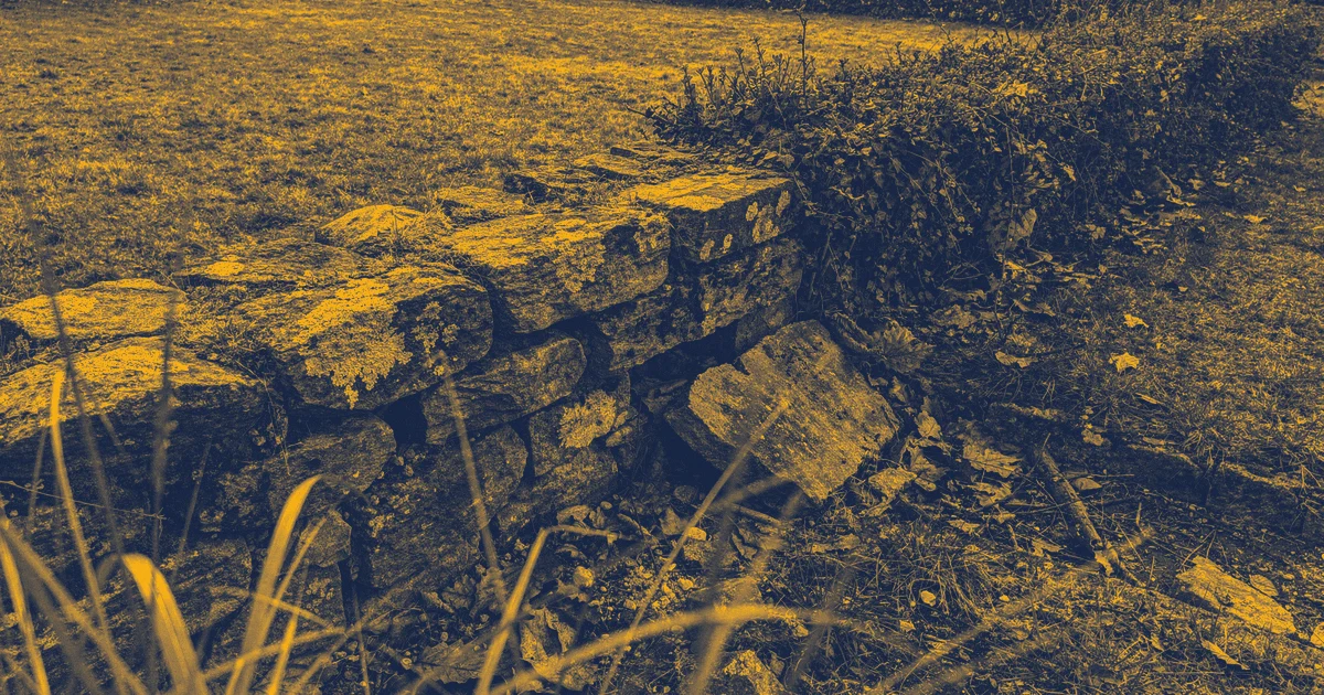 Muret bas en pierre sèche couvert de lichen, prolongé par une haie, entre deux étendues d'herbe ; une pierre est tombée au pied du mur.